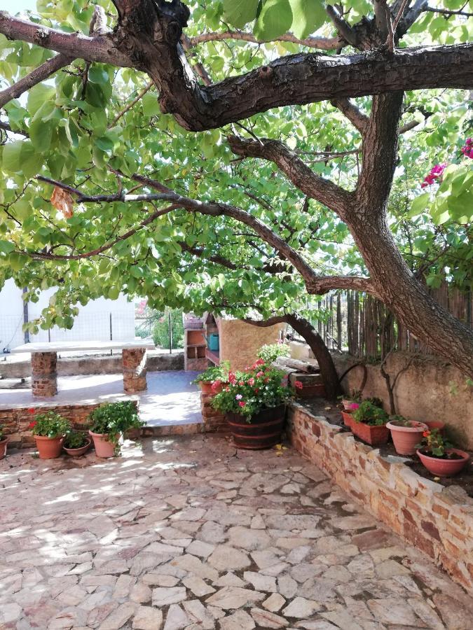 Villa Le Ginestre ลากาเลตตา ภายนอก รูปภาพ